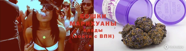 сатива Тутаев