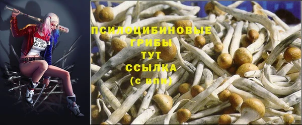 ECSTASY Заволжск