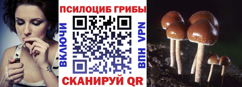 Псилоцибиновые грибы Psilocybine cubensis  MEGA зеркало  Домодедово 